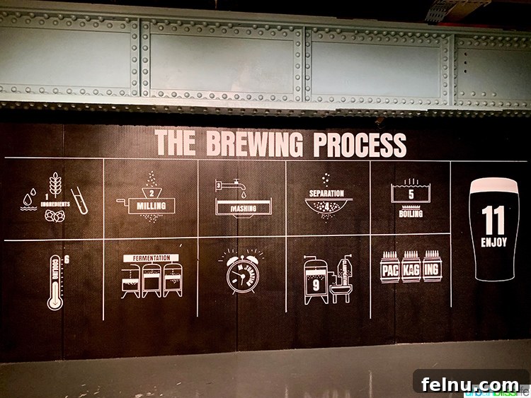 Insider's Guide: Mastering the Guinness Storehouse Experience 17 Brewing Process at Guinness Storehouse