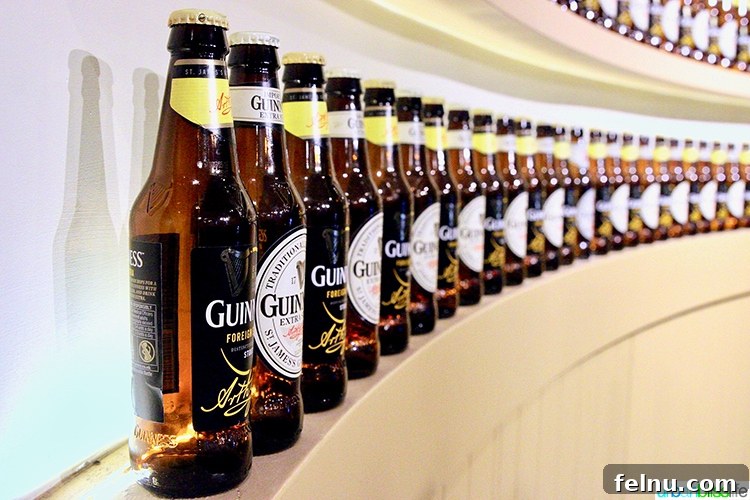 Insider's Guide: Mastering the Guinness Storehouse Experience 28 Guinness Storehouse Beer Bottles