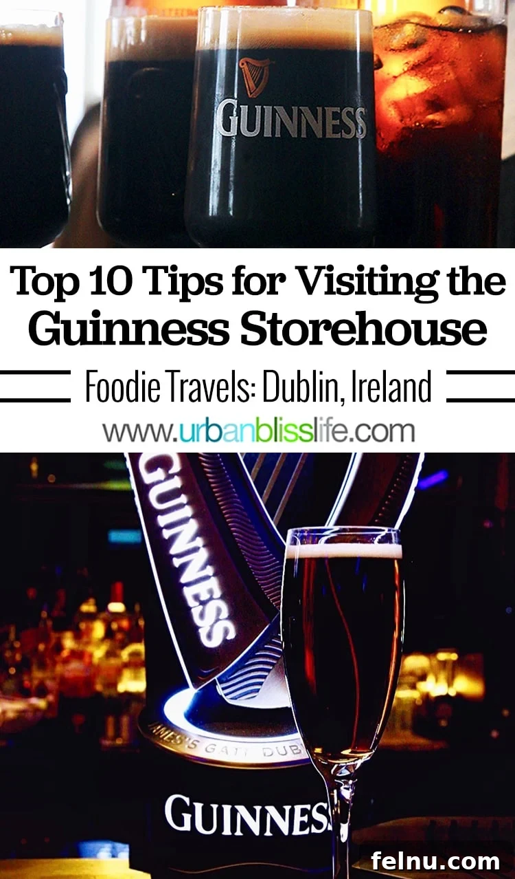 Insider's Guide: Mastering the Guinness Storehouse Experience 30 Guinness Storehouse Pin 2
