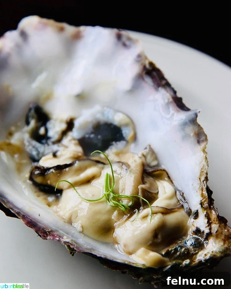 Insider's Guide: Mastering the Guinness Storehouse Experience 10 Oyster at Guinness Storehouse
