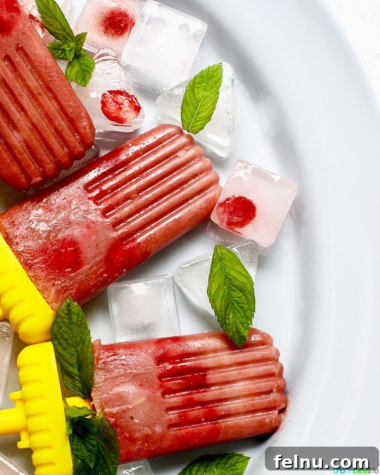 Sweet Tart Strawberry Rhubarb Pops 2 Homemade Strawberry Rhubarb Popsicles