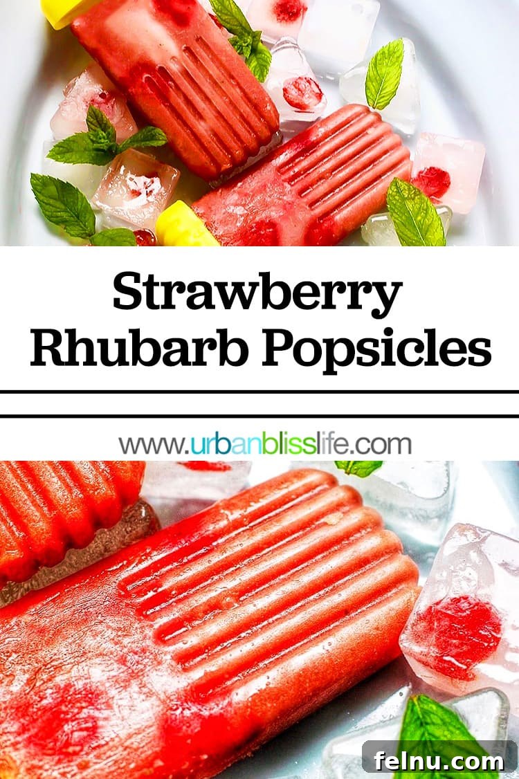 Sweet Tart Strawberry Rhubarb Pops 7 strawberry rhubarb popsicles
