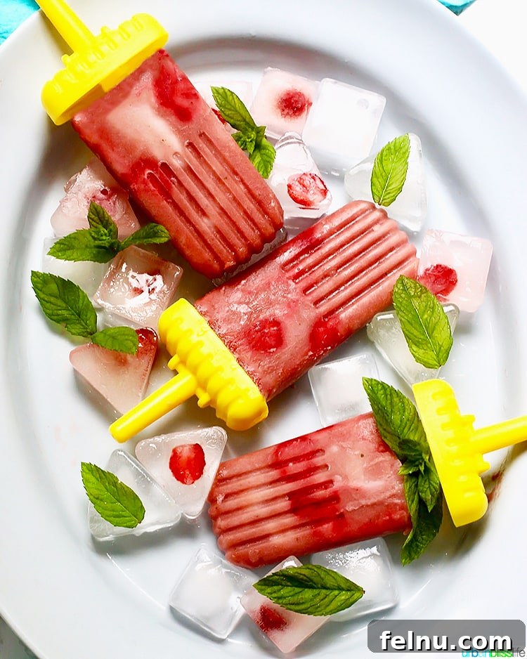 Sweet Tart Strawberry Rhubarb Pops 4 Delicious Strawberry Rhubarb Popsicles with fresh mint
