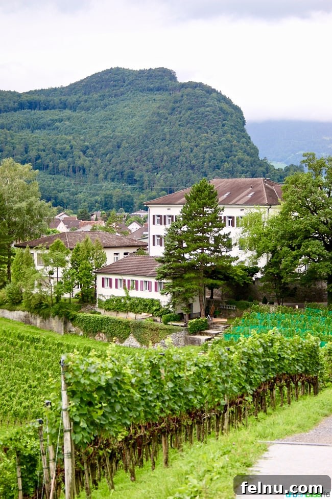 Liechtenstein: Your Alpine Adventure Awaits 14 Liechtenstein Vineyard House Tall