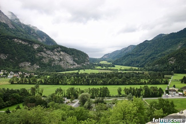 Liechtenstein: Your Alpine Adventure Awaits 4 Lush Green Trees in Liechtenstein