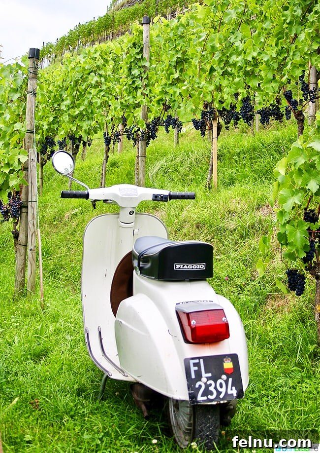 Liechtenstein: Your Alpine Adventure Awaits 5 Exploring Liechtenstein on a Vespa