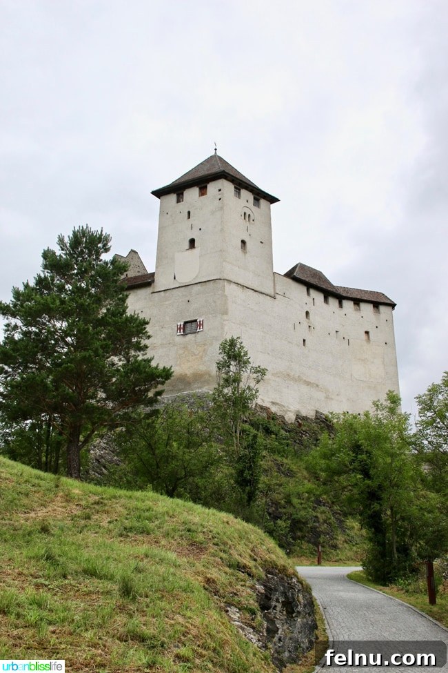Liechtenstein: Your Alpine Adventure Awaits 8 Gutenberg Castle Far View Tall