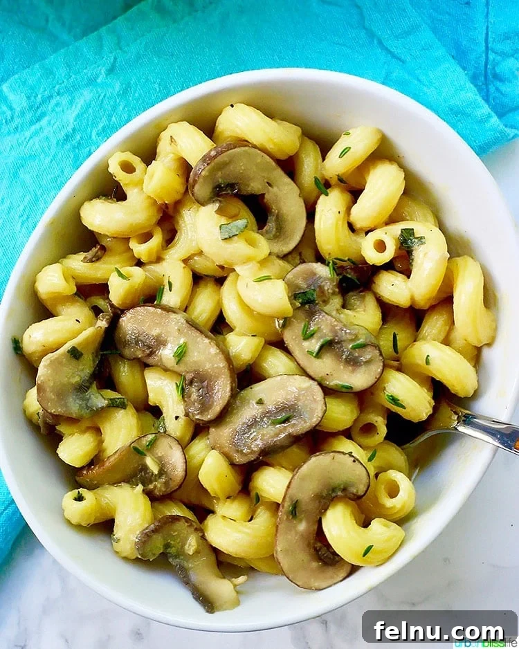 Dreamy Vegan Mushroom Pasta 2 Creamy Vegan Mushroom Pasta in a rustic bowl with a fork, garnished with fresh herbs.