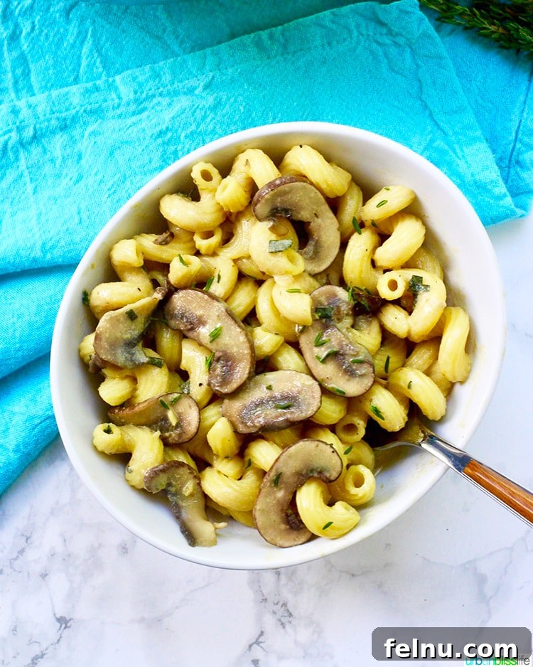 Dreamy Vegan Mushroom Pasta 3 Close-up shot of Creamy Vegan Mushroom Pasta in a bowl, highlighting the rich sauce and mushrooms.