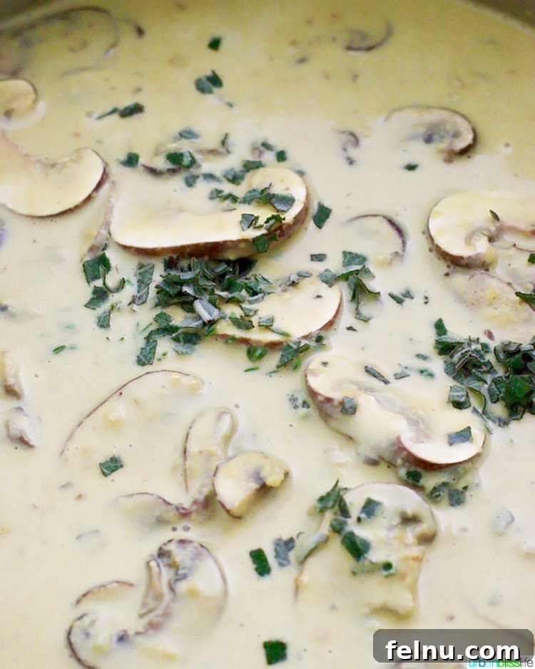 Dreamy Vegan Mushroom Pasta 5 A close-up of the creamy vegan mushroom pasta sauce simmering in a skillet.