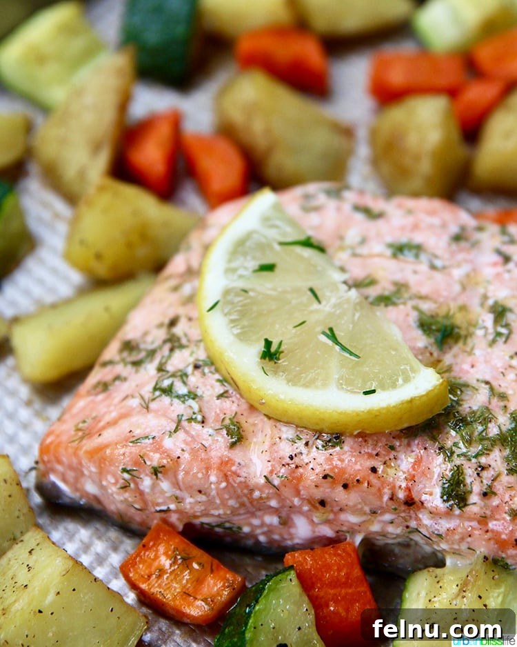 Effortless Oven Baked Salmon and Veggies 4 Fresh salmon fillet seasoned with dill and lemon slices, ready for roasting.
