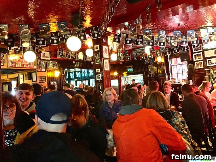 Crowd at Temple Bar