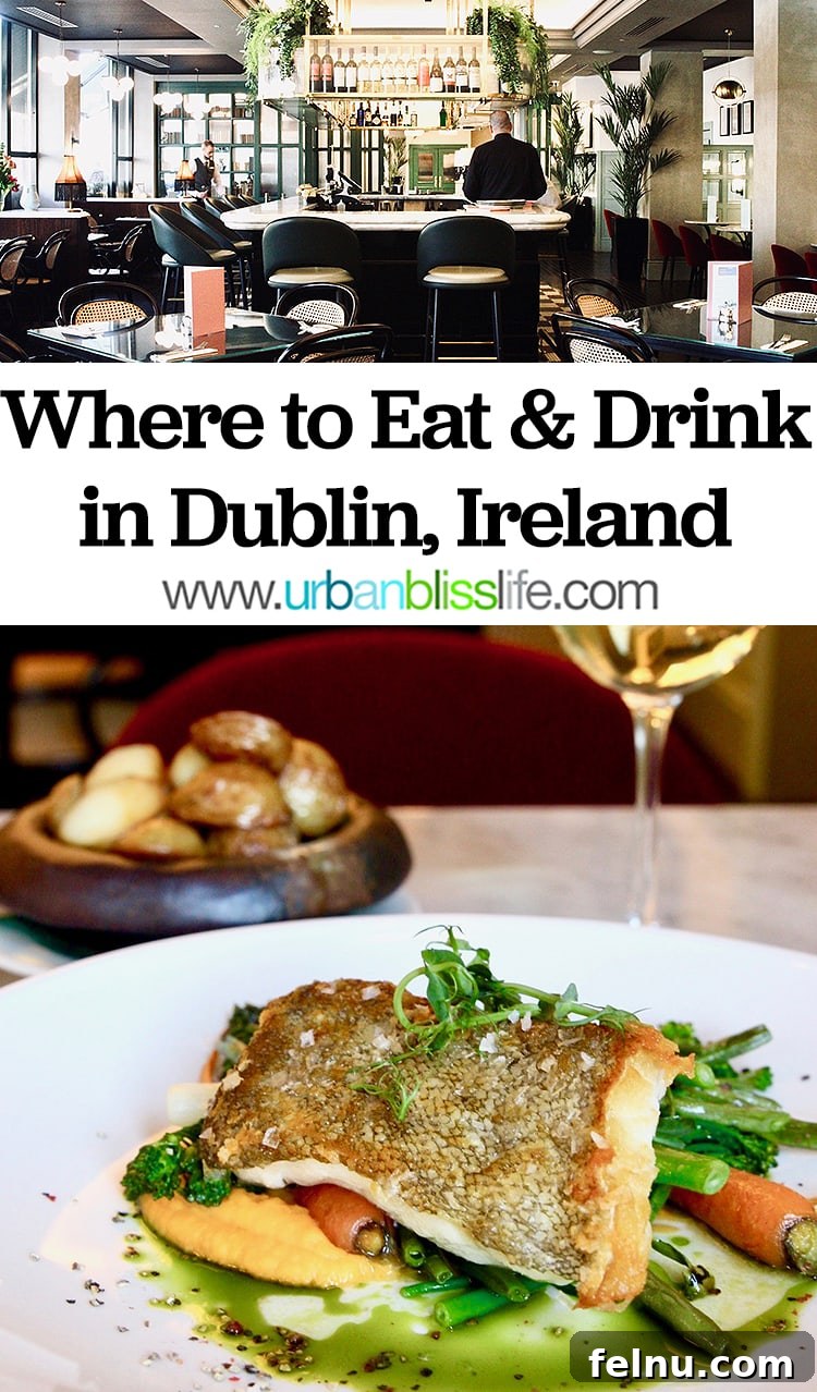 Dublin's Delicious Delights: A Food Lover's Guide 52 Where to Eat in Dublin