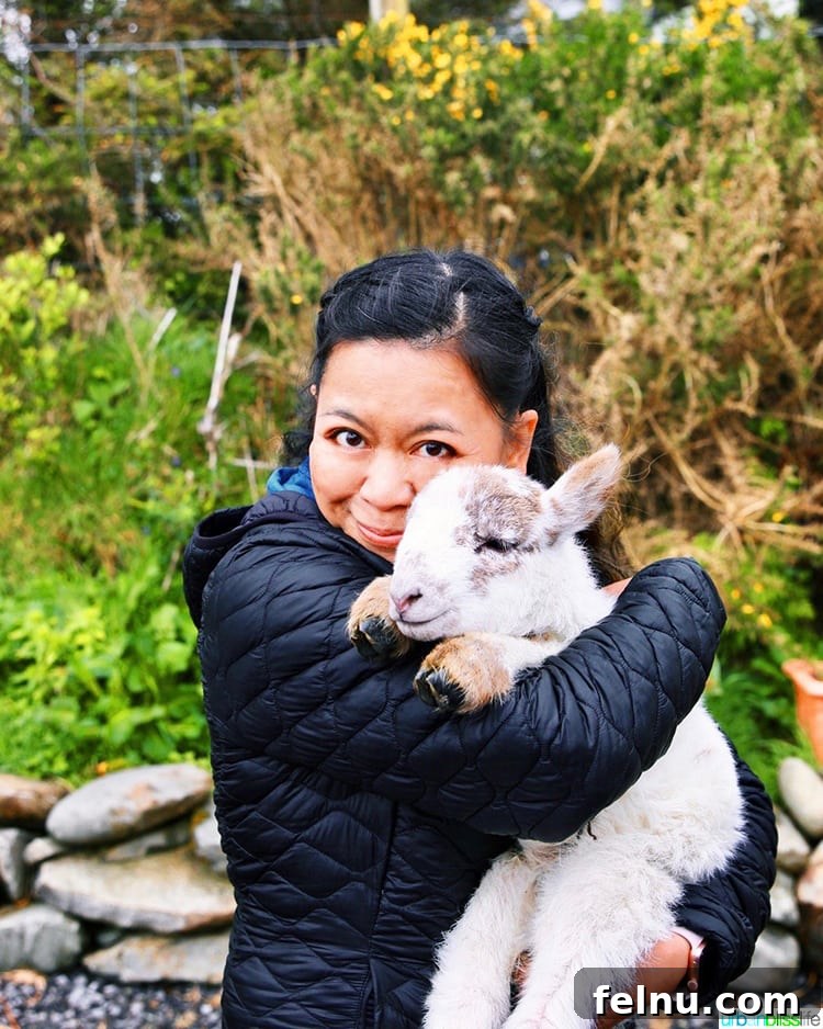 Glen Keen Farm Marlynn and goat