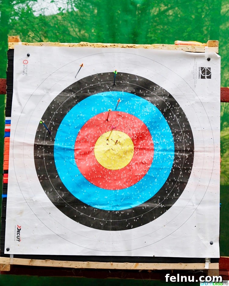 Delphi Mountain Resort Archery Target