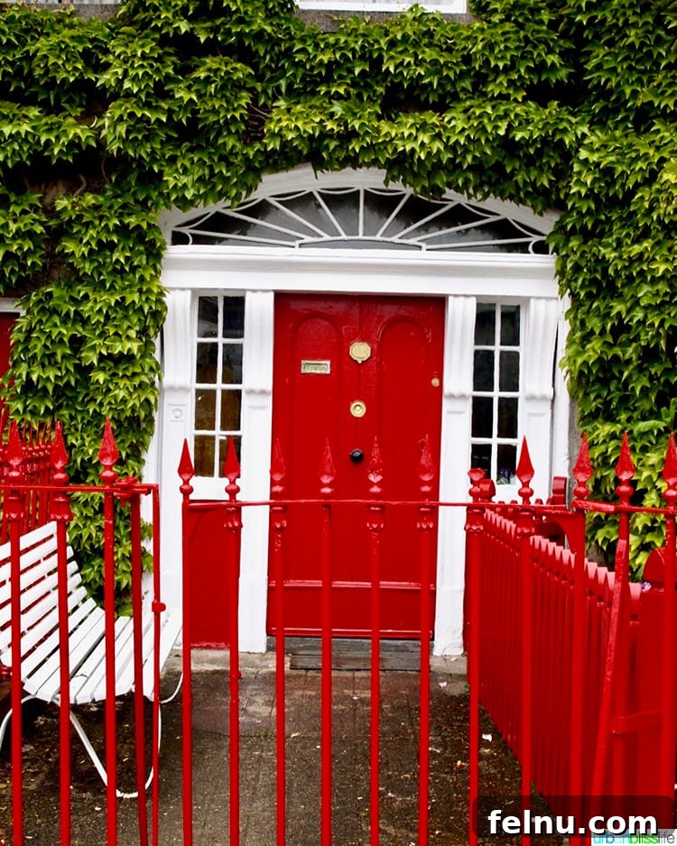 Westport Red Door House