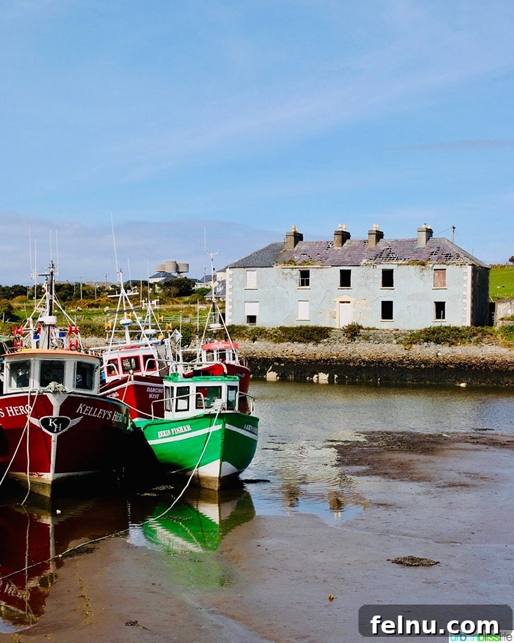 Belmullet
