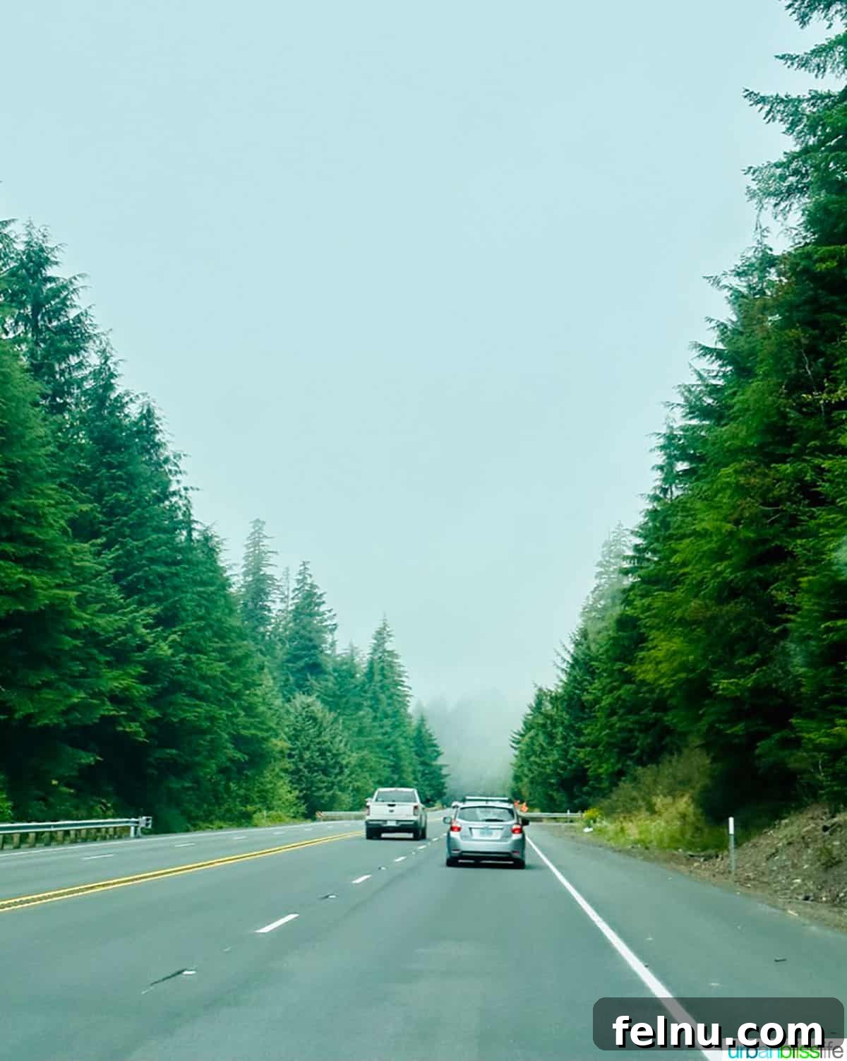 Autumn Drives: Essential Packing List 2 Foggy Oregon highway with trees with two cars on it, showcasing fall foliage.