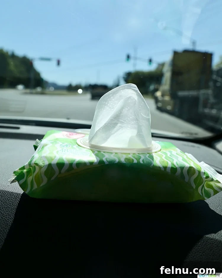 Autumn Drives: Essential Packing List 8 Sanitizing wipes, an essential item for keeping clean on road trips.