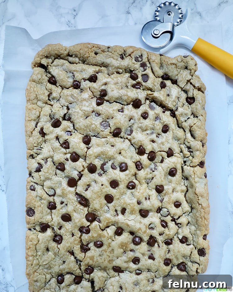 Freshly baked chocolate chip bars straight from the oven.