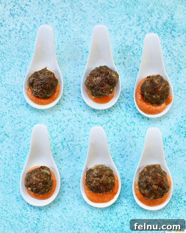 Tangy Romesco Meatballs 5 Elegantly displayed meatballs with Romesco Sauce on wonton spoons for a party.