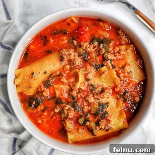 Hearty Vegan Lentil Stew in Your Instant Pot 12 A bowl of Easy One-Pot Lasagna Soup, highlighting the layers of flavors and textures.