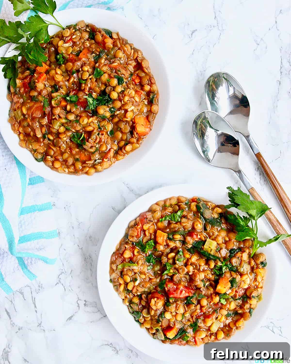 Hearty Vegan Lentil Stew in Your Instant Pot 3 Two bowls of Instant Pot Lentil Soup, beautifully arranged on a marble table, inviting you to savor its warmth and flavor.