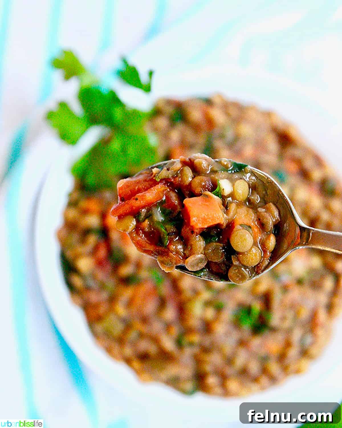 Hearty Vegan Lentil Stew in Your Instant Pot 4 A spoonful of Instant Pot Lentil Soup being lifted from a bowl, showcasing the hearty texture and deliciousness of the stew.