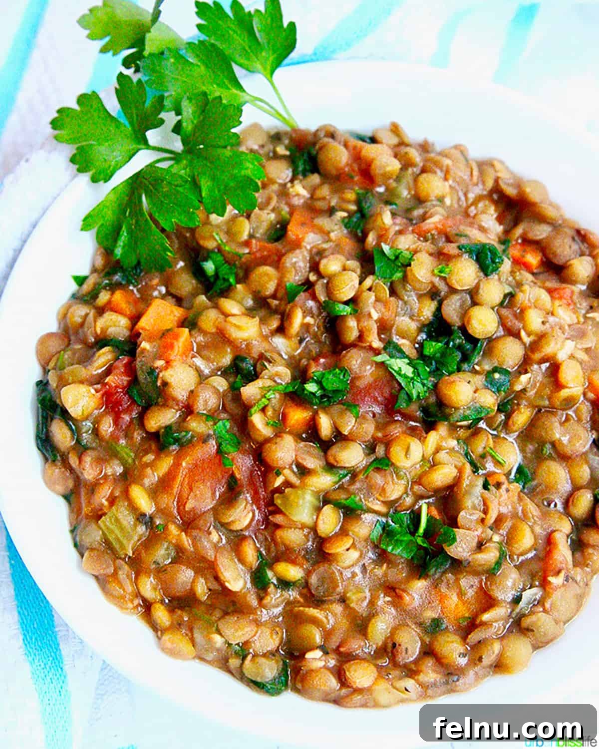 Hearty Vegan Lentil Stew in Your Instant Pot 8 A bowl of vibrant lentil soup, garnished with chopped parsley, ready to be enjoyed.