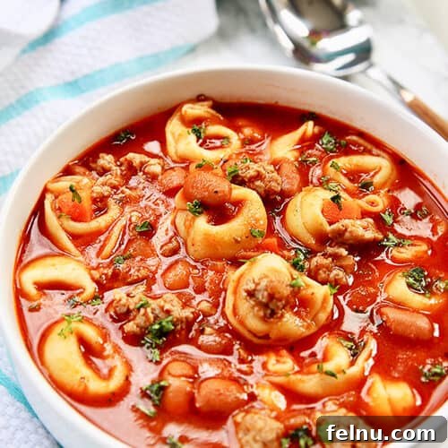 Hearty Vegan Lentil Stew in Your Instant Pot 10 A bowl of Sausage Tortellini Soup with a spoon on the side, highlighting the creamy broth and tender tortellini.