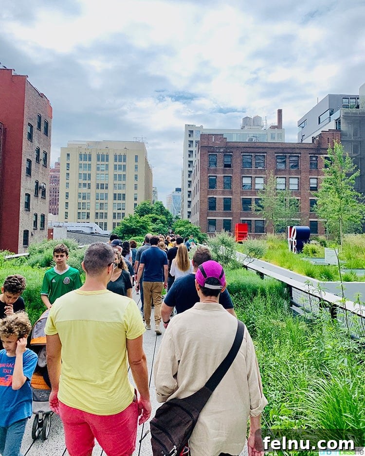 NYC in a Weekend: Your 72-Hour Adventure 15 Walking along The High Line, an elevated park with greenery and city views.