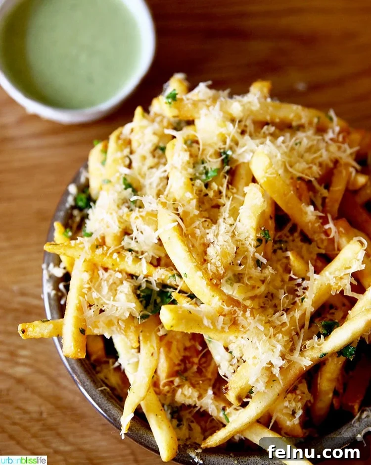 A Portland Culinary Gem: Canard Restaurant 5 Garlic Fries at Canard: Elevated comfort food at its finest.