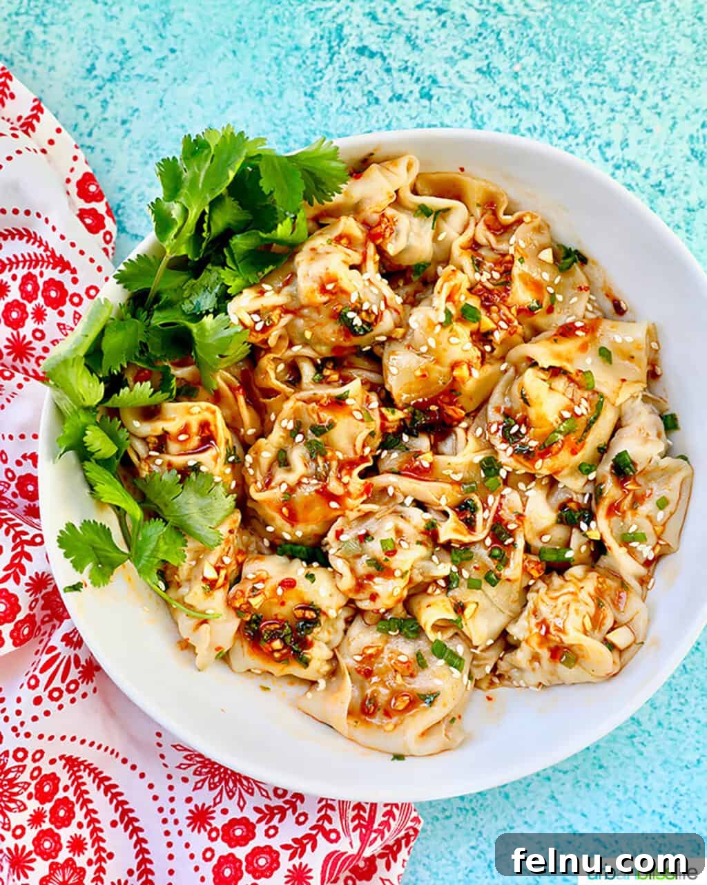 Pork and Shrimp Wonton Delight 2 Homemade Pork and Shrimp Wonton Recipe