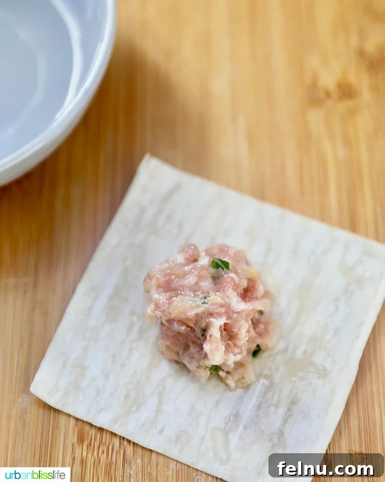 Pork and Shrimp Wonton Delight 11 Wetting Wonton Wrapper Edges