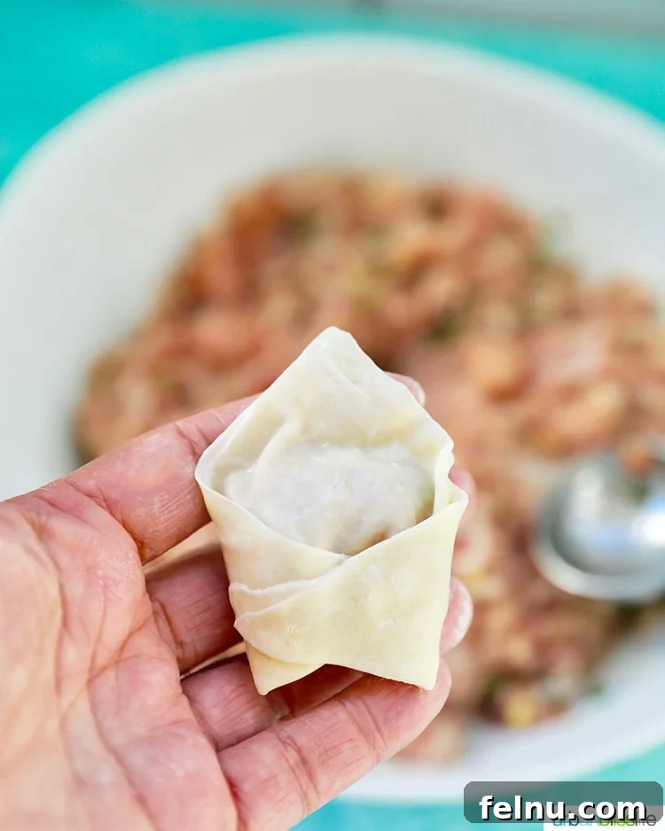 Pork and Shrimp Wonton Delight 12 Folding Wonton Wrapper