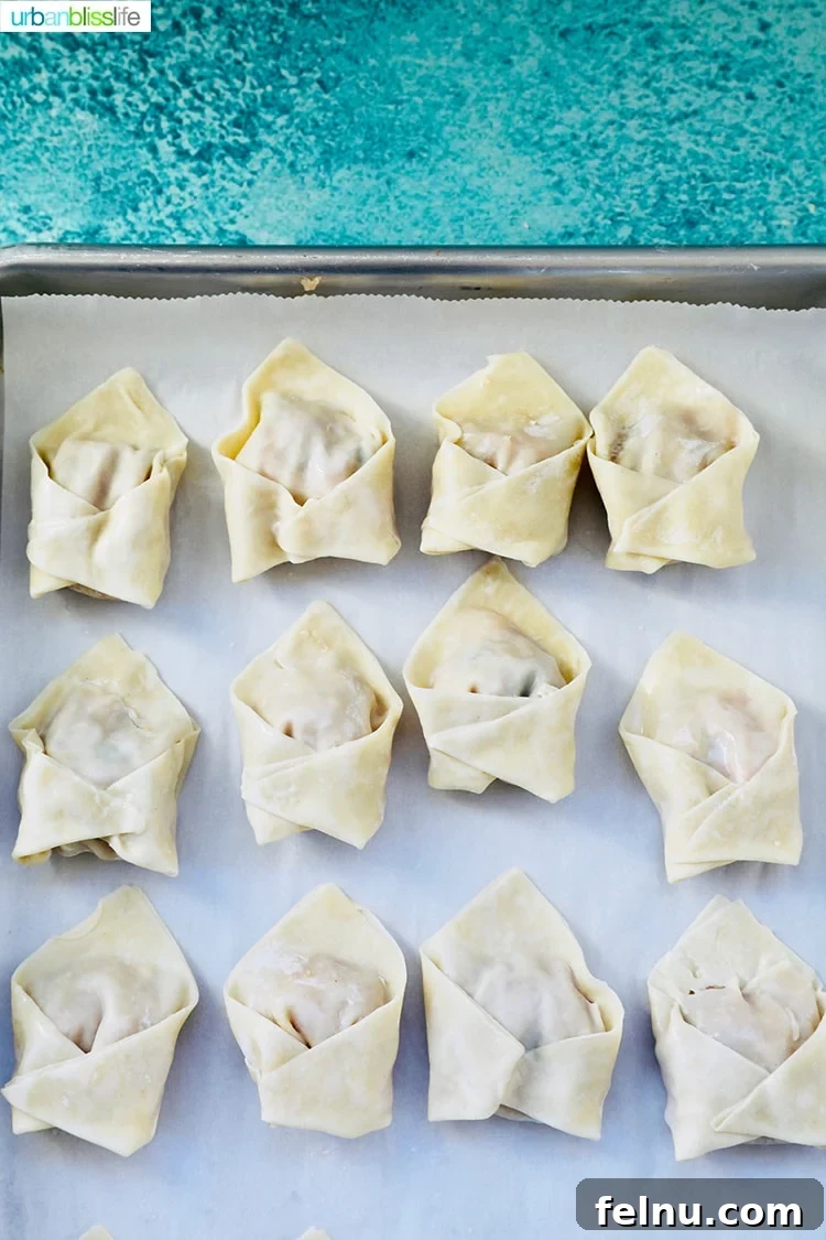 Pork and Shrimp Wonton Delight 13 Assembled Wontons on Baking Sheet