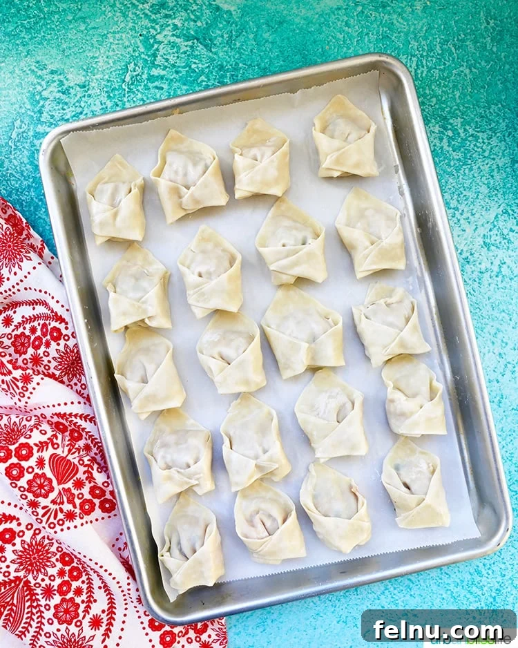 Pork and Shrimp Wonton Delight 14 Full Baking Sheet of Wontons