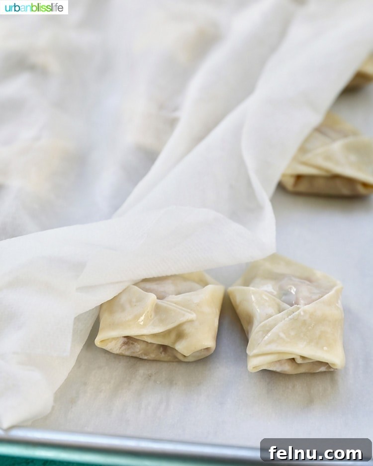 Pork and Shrimp Wonton Delight 15 Covered Wontons