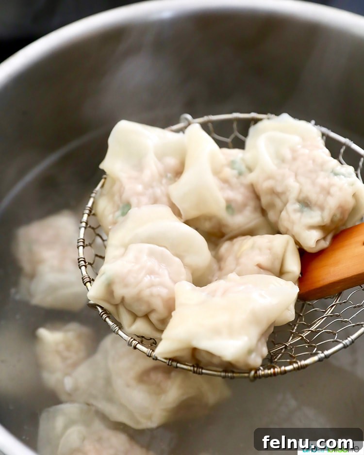 Pork and Shrimp Wonton Delight 16 Cooked Wontons
