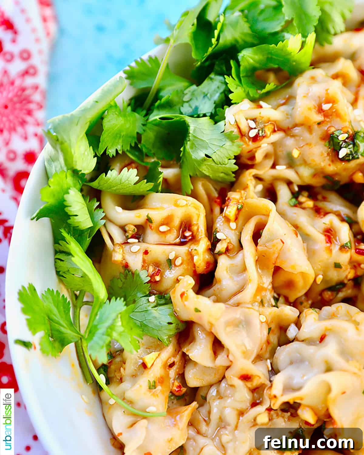 Pork and Shrimp Wonton Delight 18 Shrimp and Pork Wontons in Bowl