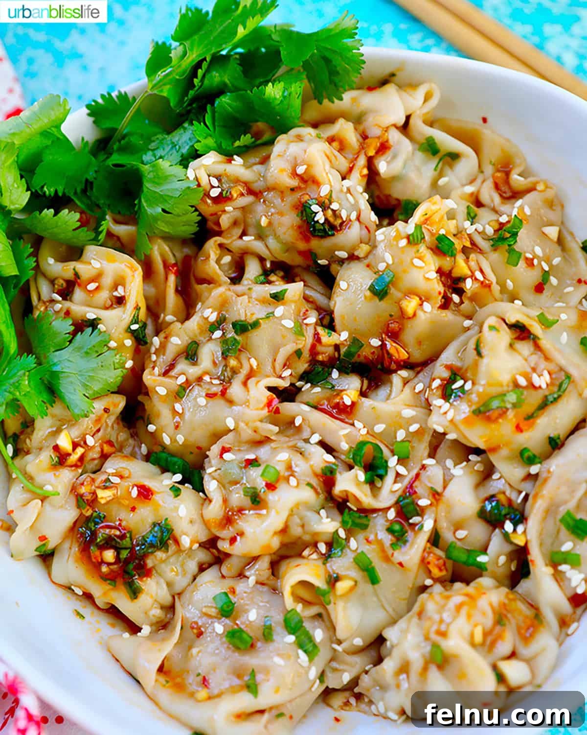 Pork and Shrimp Wonton Delight 3 Shrimp and Pork Wontons in Chili Oil