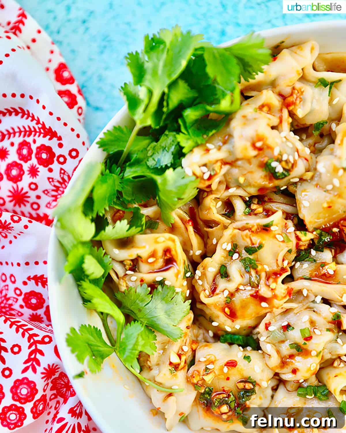 Pork and Shrimp Wonton Delight 4 Shrimp and Pork Wontons with Sesame Seeds