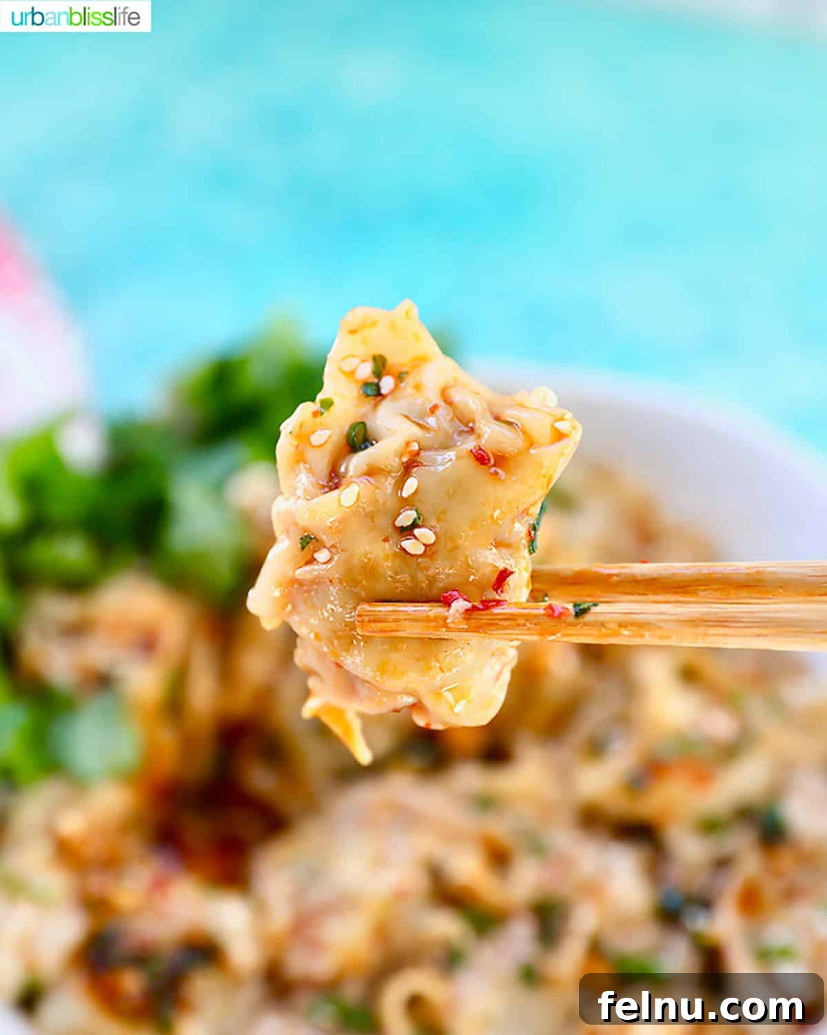 Pork and Shrimp Wonton Delight 5 Pork and Shrimp Wonton in Chili Oil Sauce