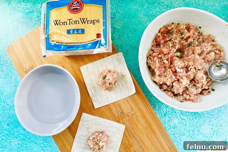 Pork and Shrimp Wonton Delight 10 Wonton Wrapper with Filling