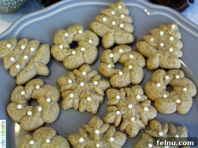 Bake Ahead Bliss: Delicious Christmas Cookies for Your Freezer 4 Cinnamon Spritz Cookies recipe displayed on UrbanBlissLife.com.