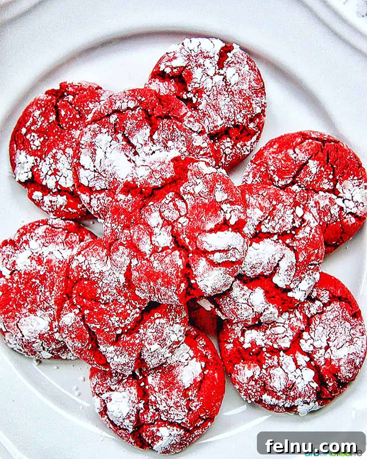 Red Velvet Crinkle Cookies
Sinfully Delicious Red Velvet Crinkle Cookies 2 Red Velvet Crinkle Cookies on a plate