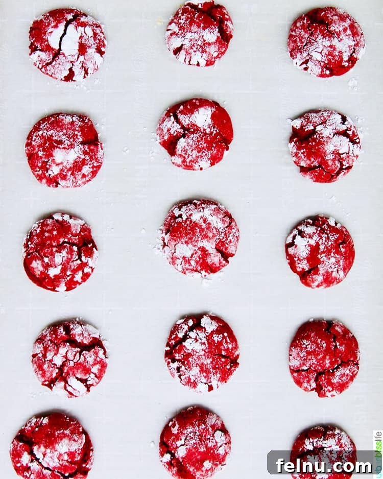 Red Velvet Crinkle Cookies
Sinfully Delicious Red Velvet Crinkle Cookies 10 Red velvet crinkle cookies on a baking sheet