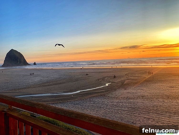 Top 10 Cannon Beach Adventures 22 Haystack Rock view from Surfsand Resort.