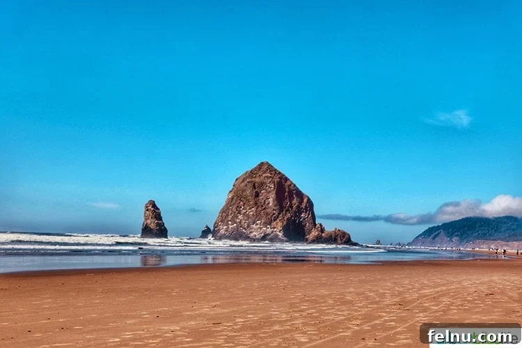 Top 10 Cannon Beach Adventures 4 A wide view of Haystack Rock at Cannon Beach.