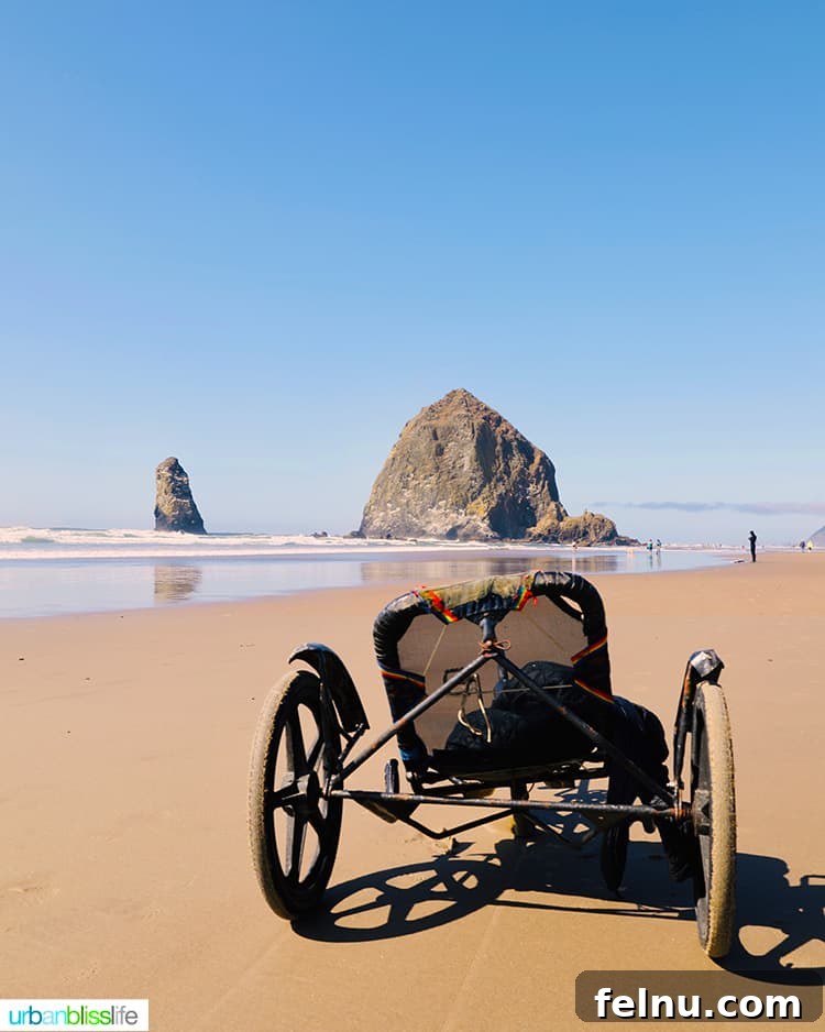 Top 10 Cannon Beach Adventures 10 A fun cycle on Cannon Beach.